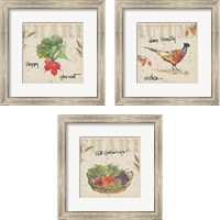 Framed 'Farmers Feast Harvest 3 Piece Framed Art Print Set' border=