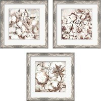 Framed 'Cotton Boll Triptych Sentimen 3 Piece Framed Art Print Set' border=