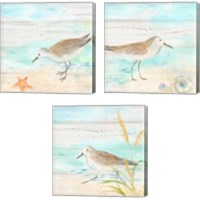 Framed Sandpiper Beach 3 Piece Canvas Print Set