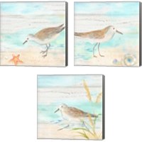 Framed 'Sandpiper Beach 3 Piece Canvas Print Set' border=