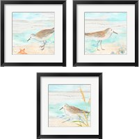 Framed 'Sandpiper Beach 3 Piece Framed Art Print Set' border=