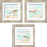 Framed 'Sandpiper Beach 3 Piece Framed Art Print Set' border=