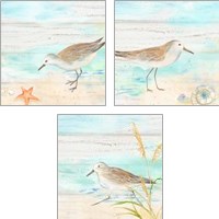 Framed 'Sandpiper Beach 3 Piece Art Print Set' border=