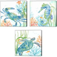 Framed 'Sea Life Serenade 3 Piece Canvas Print Set' border=