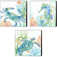 Framed Sea Life Serenade 3 Piece Canvas Print Set