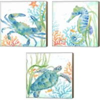 Framed 'Sea Life Serenade 3 Piece Canvas Print Set' border=