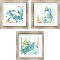 Framed Sea Life Serenade 3 Piece Framed Art Print Set