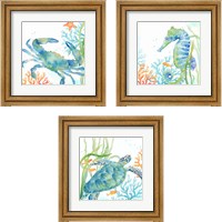 Framed Sea Life Serenade 3 Piece Framed Art Print Set