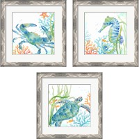 Framed 'Sea Life Serenade 3 Piece Framed Art Print Set' border=