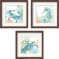 Framed 'Sea Life Serenade 3 Piece Framed Art Print Set' border=