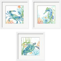 Framed 'Sea Life Serenade 3 Piece Framed Art Print Set' border=