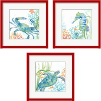 Framed Sea Life Serenade 3 Piece Framed Art Print Set