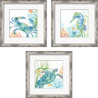 Framed 'Sea Life Serenade 3 Piece Framed Art Print Set' border=