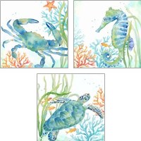 Framed 'Sea Life Serenade 3 Piece Art Print Set' border=