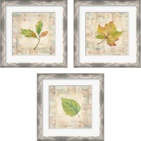 Framed 'Nature Walk Leaves 3 Piece Framed Art Print Set' border=