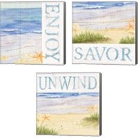 Framed 'Savor the Sea 3 Piece Canvas Print Set' border=