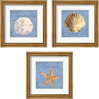 Framed Oceanum Shells Blue 3 Piece Framed Art Print Set