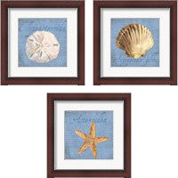 Framed 'Oceanum Shells Blue 3 Piece Framed Art Print Set' border=