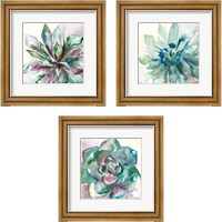 Framed Succulent Watercolor  3 Piece Framed Art Print Set