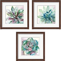 Framed 'Succulent Watercolor  3 Piece Framed Art Print Set' border=