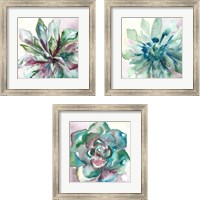 Framed Succulent Watercolor  3 Piece Framed Art Print Set
