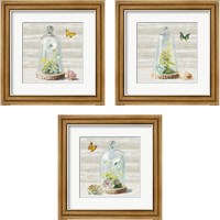 Framed 'Succulent Garden 3 Piece Framed Art Print Set' border=