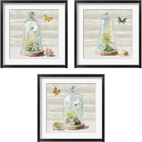 Framed Succulent Garden 3 Piece Framed Art Print Set