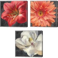 Framed Vivid Floral 3 Piece Canvas Print Set