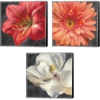 Framed Vivid Floral 3 Piece Canvas Print Set