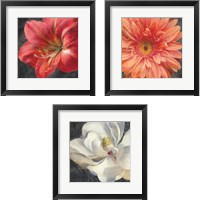 Framed 'Vivid Floral 3 Piece Framed Art Print Set' border=