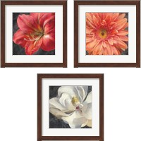 Framed Vivid Floral 3 Piece Framed Art Print Set