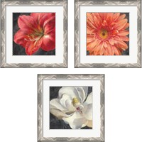 Framed 'Vivid Floral 3 Piece Framed Art Print Set' border=