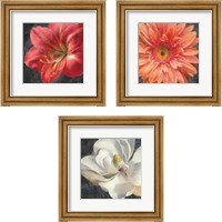 Framed Vivid Floral 3 Piece Framed Art Print Set