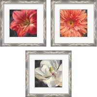 Framed 'Vivid Floral 3 Piece Framed Art Print Set' border=