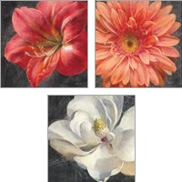 Framed 'Vivid Floral 3 Piece Art Print Set' border=