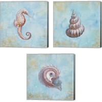 Framed Treasures from the Sea Watercolor 3 Piece Canvas Print Set