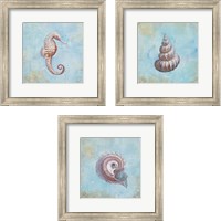 Framed 'Treasures from the Sea Watercolor 3 Piece Framed Art Print Set' border=