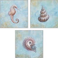 Framed 'Treasures from the Sea Watercolor 3 Piece Art Print Set' border=