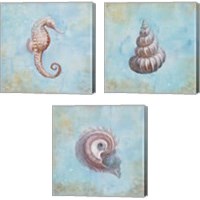 Framed 'Treasures from the Sea Watercolor 3 Piece Canvas Print Set' border=