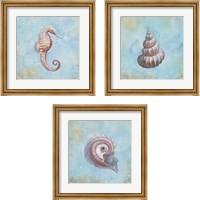 Framed Treasures from the Sea Watercolor 3 Piece Framed Art Print Set