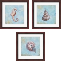 Framed Treasures from the Sea Watercolor 3 Piece Framed Art Print Set