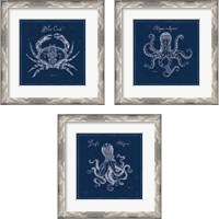 Framed 'Underwater Life Navy 3 Piece Framed Art Print Set' border=