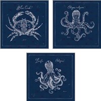 Framed Underwater Life Navy 3 Piece Art Print Set