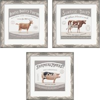 Framed Vintage Farm 3 Piece Framed Art Print Set