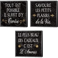 Framed Inspirational Collage French on Black 3 Piece Canvas Print Set