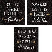 Framed Inspirational Collage French on Black 3 Piece Art Print Set