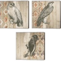 Framed Natural History Lodge Southwest 3 Piece Canvas Print Set