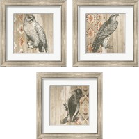 Framed Natural History Lodge Southwest 3 Piece Framed Art Print Set