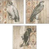 Framed Natural History Lodge Southwest 3 Piece Art Print Set