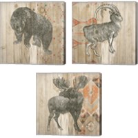 Framed 'Natural History Lodge Southwest 3 Piece Canvas Print Set' border=